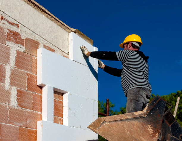 Best Specialized Insulation Services in Tarpon Springs, FL