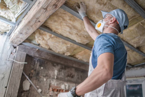 Best Specialized Insulation Services in Tarpon Springs, FL