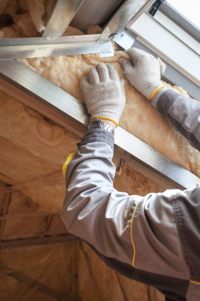 Professional Insulation Contractor in Tarpon Springs, FL