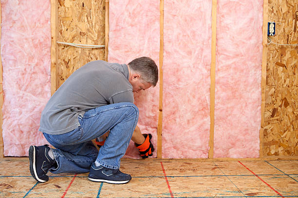 Best Commercial Insulation in Tarpon Springs, FL
