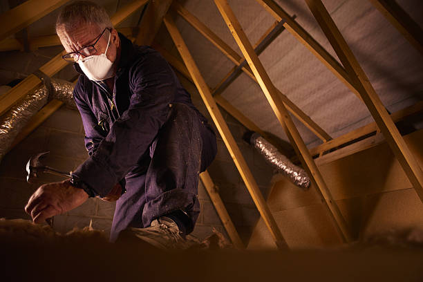 Best Cellulose Insulation in Tarpon Springs, FL